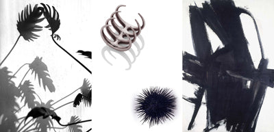 Collection Inspiration