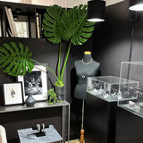 A styled jewelry display at the AMANDA PEARL showroom, with a mannequin torso wearing a gold necklace, display cases, framed art, and large green monstera leaves against a dark wall.
